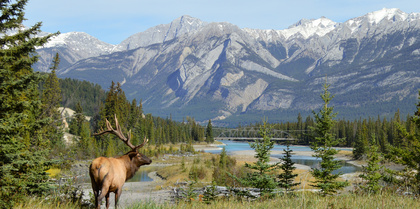 Jasper National Park, Canada